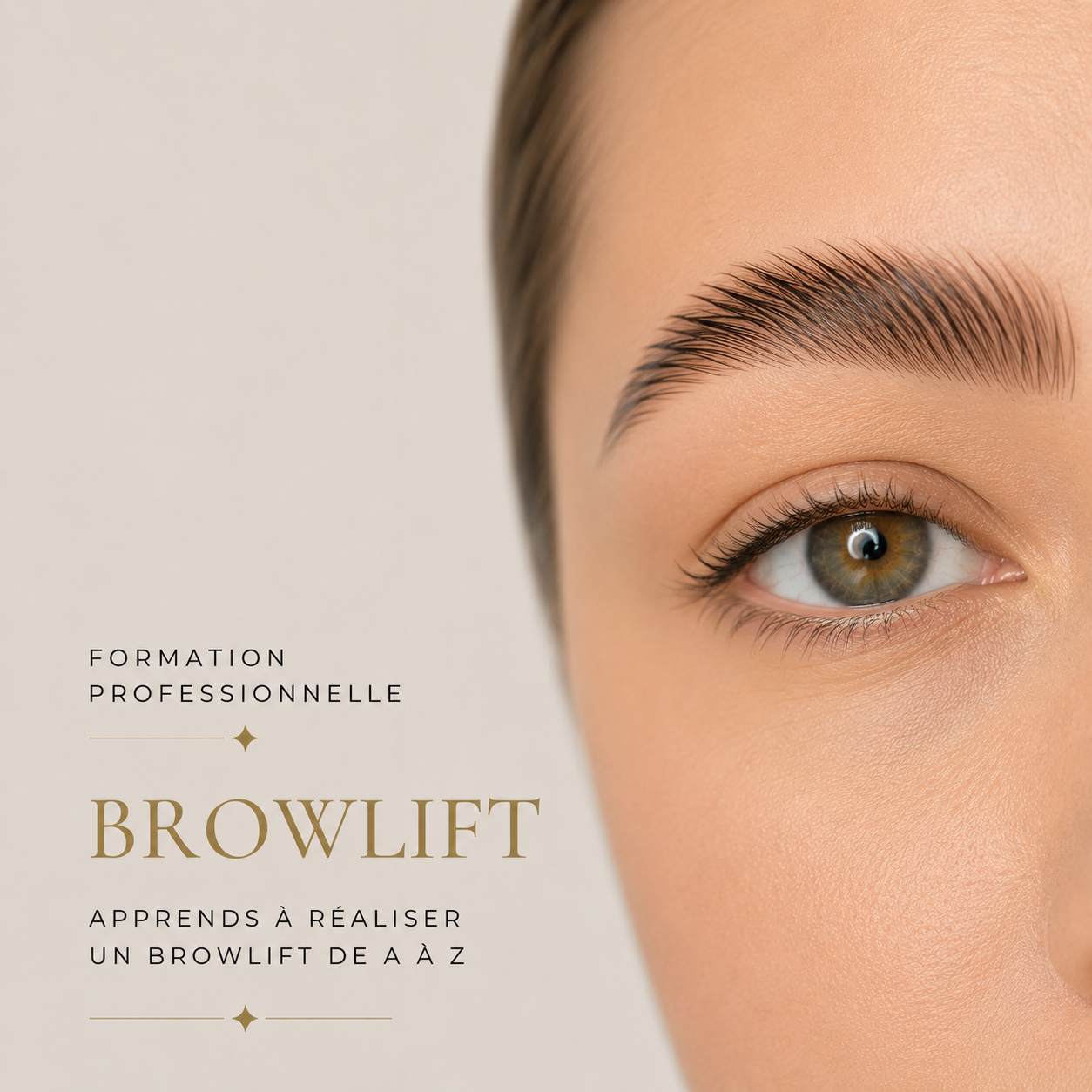 Formation Browlift